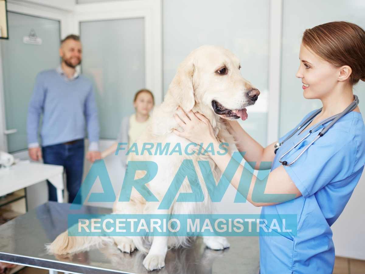 recetario magistral veterinario Providencia Santiago Región Metropolitana